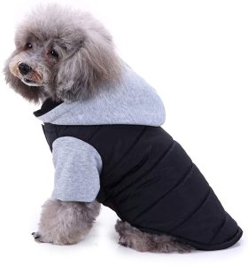 Spring dog jackets