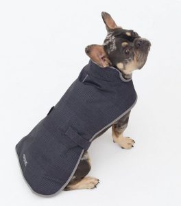 Grey dog jackets