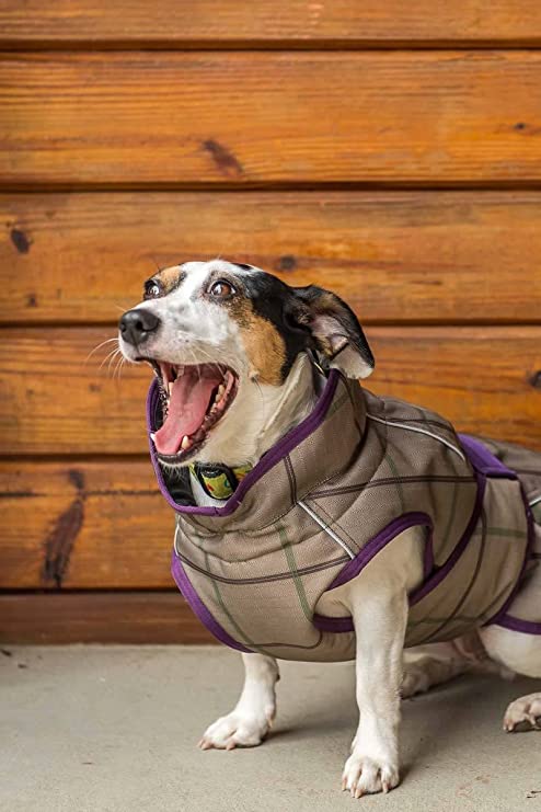 Beige dog jackets