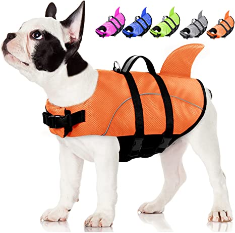 Orange dog jackets