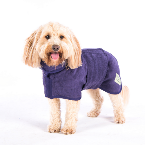 Purple dog jackets